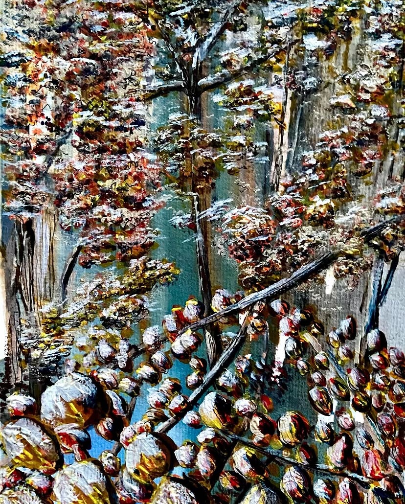 Woodland Wonder